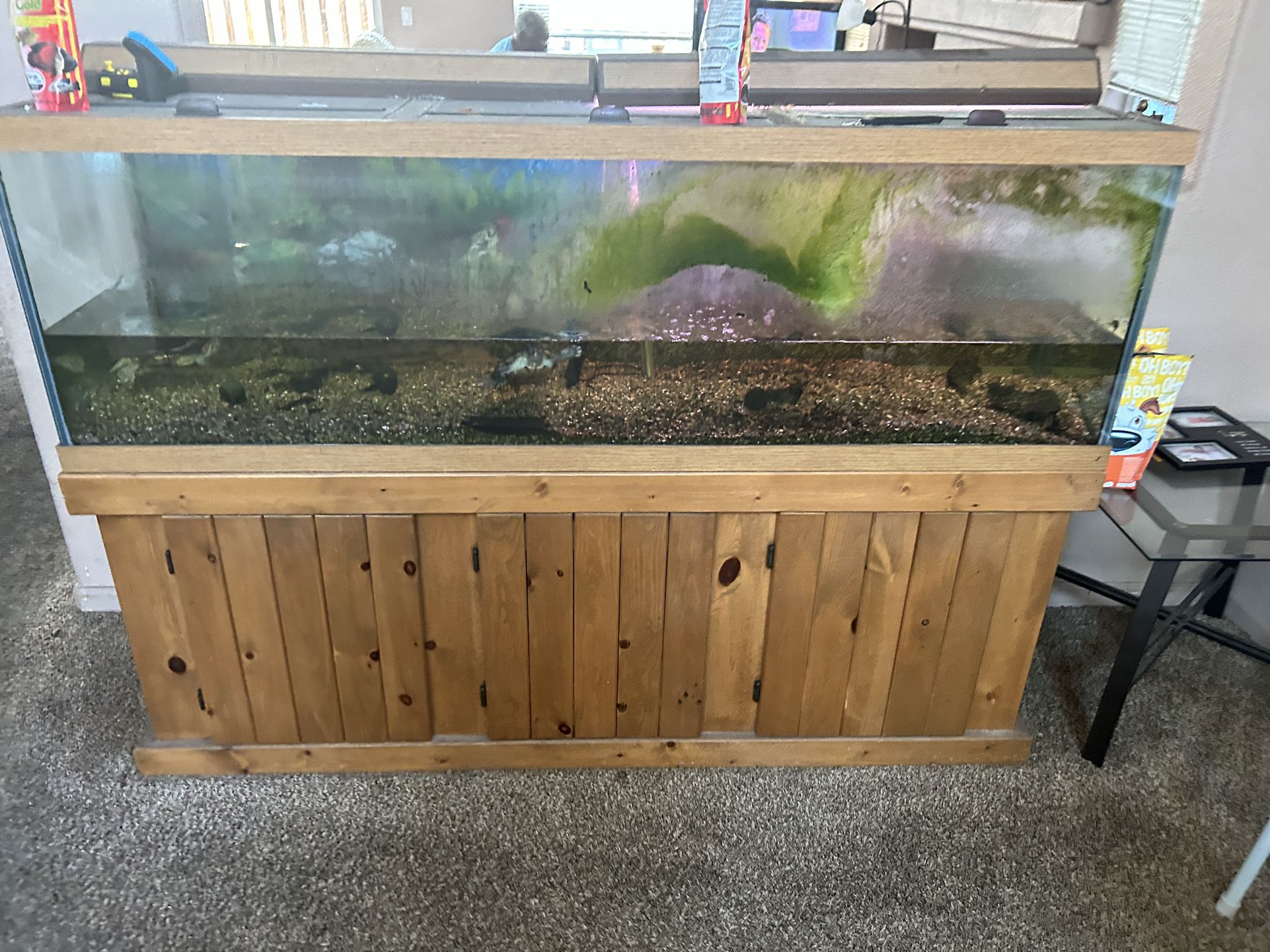 250 Gallon Fish Tank