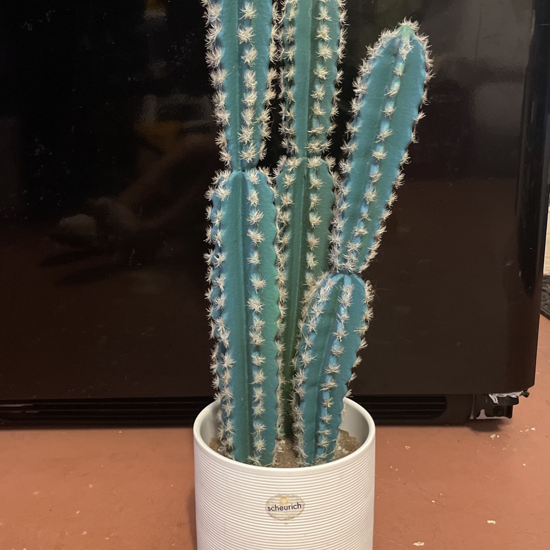 Cactus artificiales