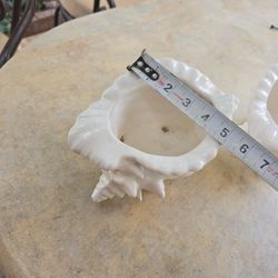 Sea Shell Pots/vases 28