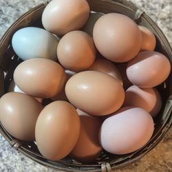 Farm Fresh Eggs 
