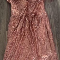 Women's Plus Size Sequin Pink Dress