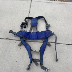 Sala 3m Harness L  - $400 OBO Give Me A Price 