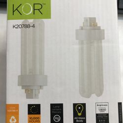Compact Fluorescent Bulbs
