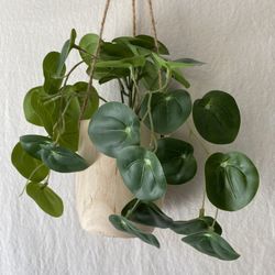 Faux Hanging Money Plant in Wood Vase