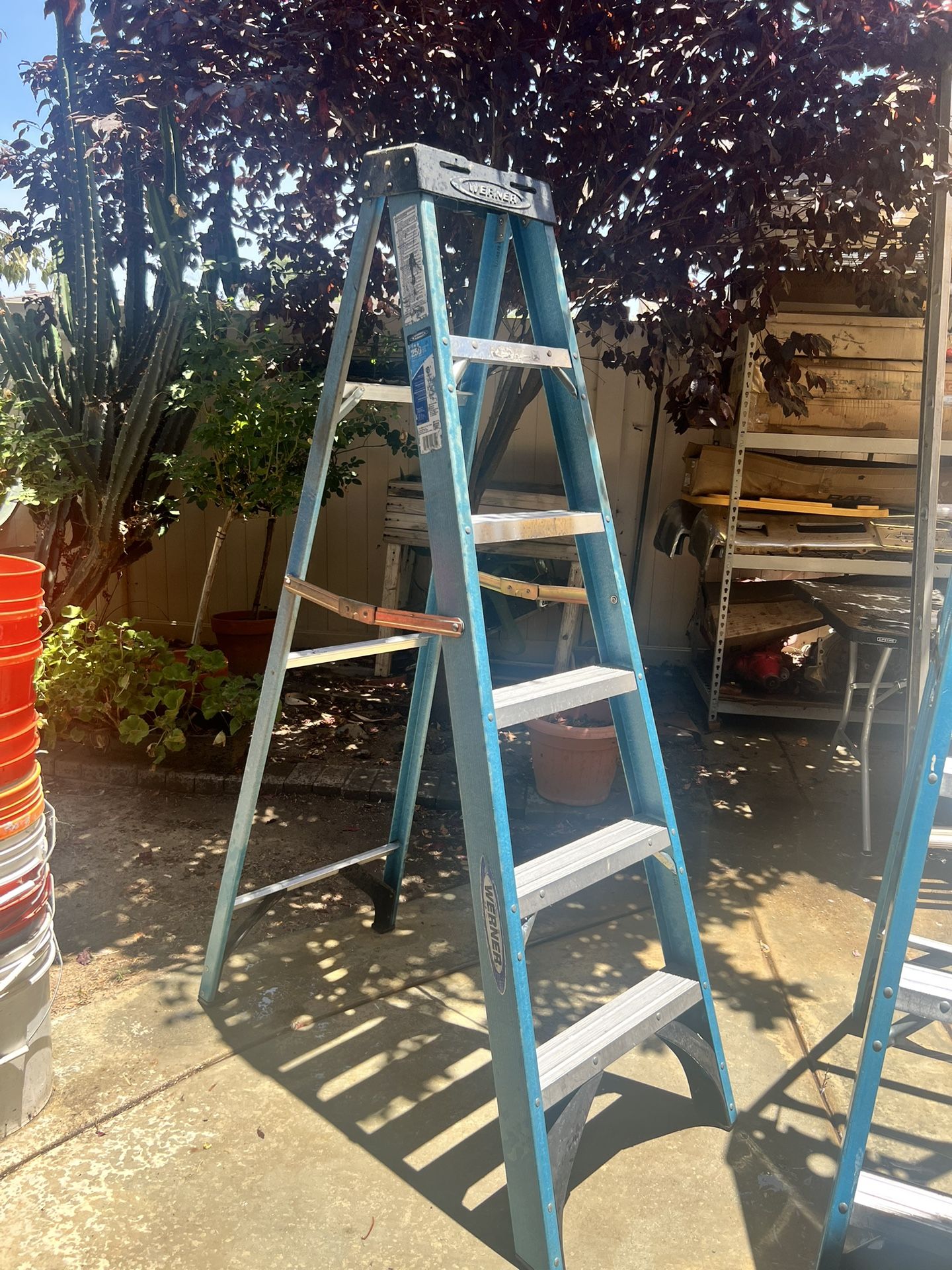 Werner 6ft Ladders