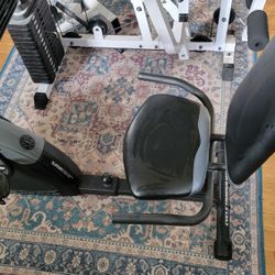 Reclined Excercise Bike 