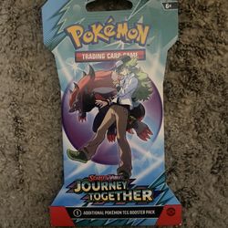 Pokemon Journey Together