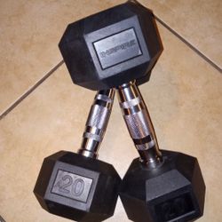 20 Lb Dumbbell Set