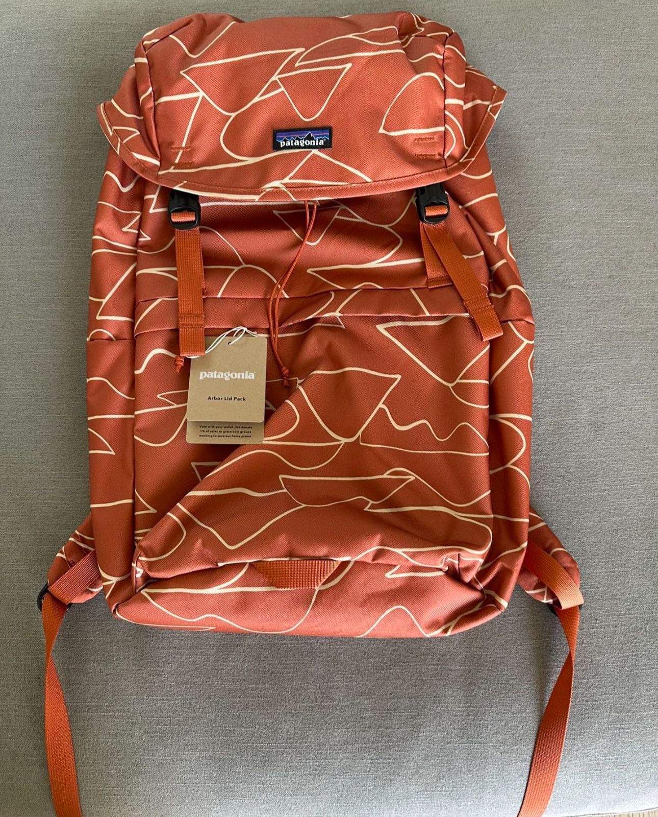 Patagonia Backpack 