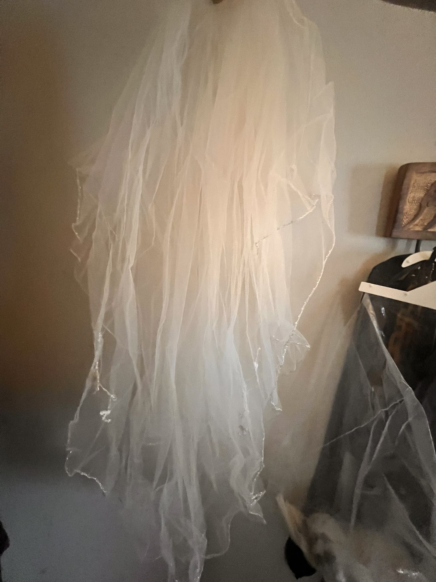 Wedding Veil