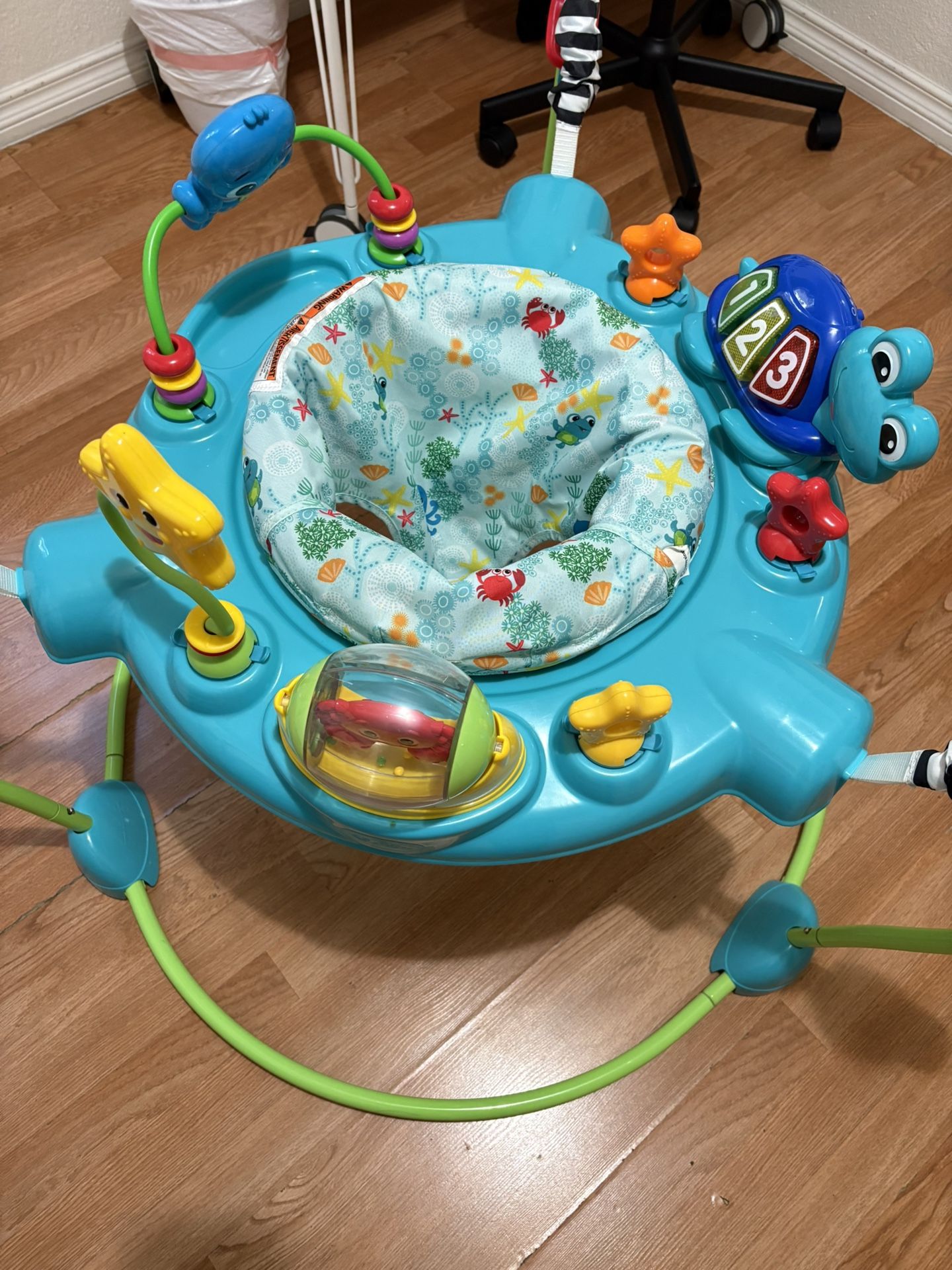 Baby Einstein Jumper