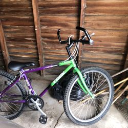 Trek Bike