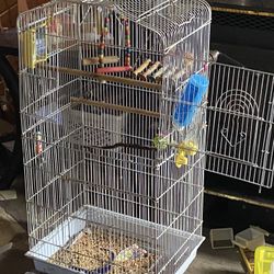 Bird Parakeet Cage 