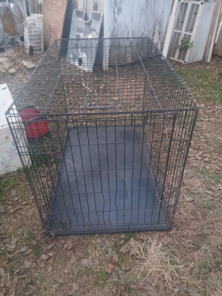 LARGE KENNEL HOUSED A GREAT PYRANESE