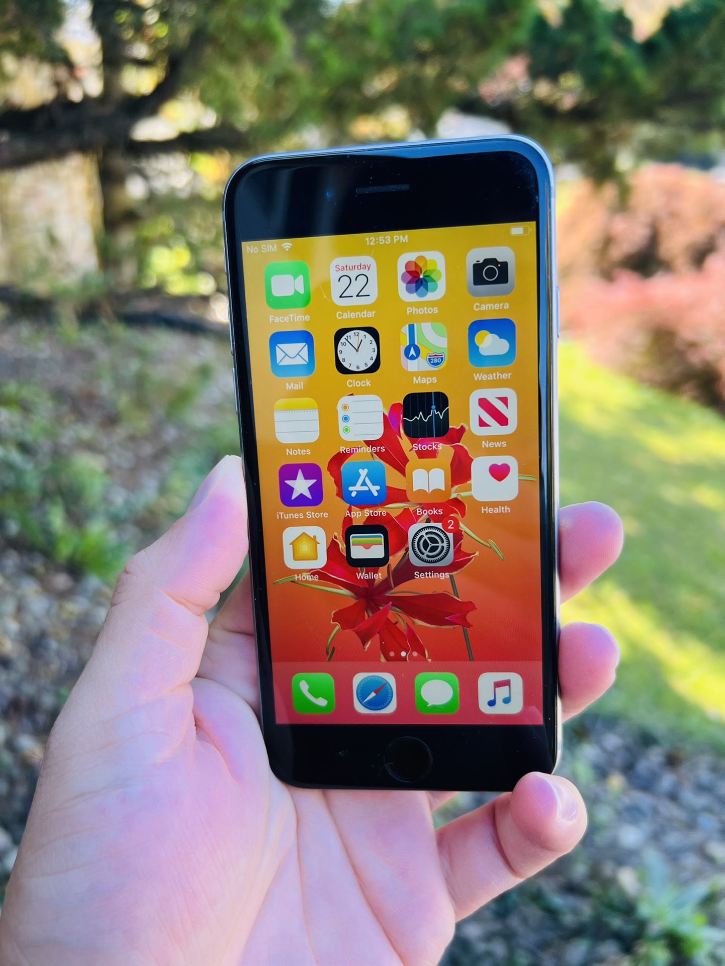 iPhone 6 Unlocked