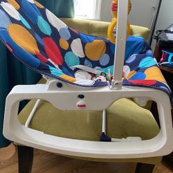 Fisher Price Infant To Toddler Rocker