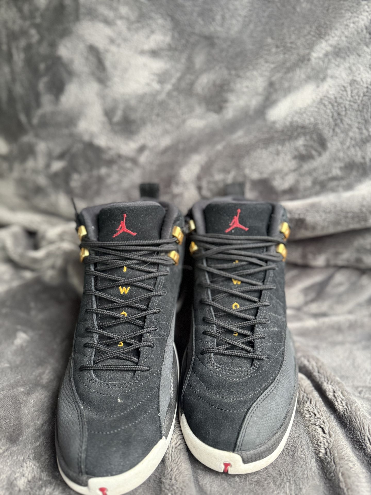 Reverse Taxi Jordan 12s