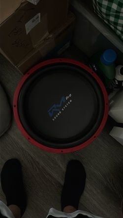 2 Rm pro 15 inch subwoofers