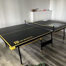 Full Size Ping Pong/table Tennis