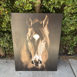 Large Horse Head Equine Canvas Print 40" X 30"