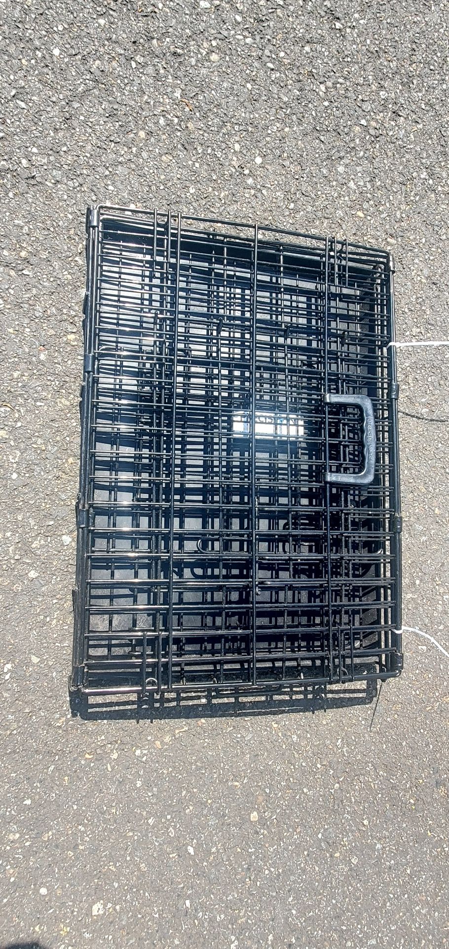 Foldable Wire Dog Crate 24”