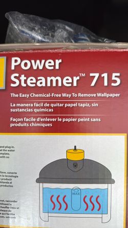 Wagner Power steamer 715