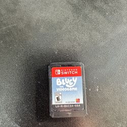 Nintendo Switch Bluey Video Game 