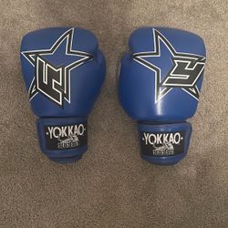 Out Of Box Unused 12 Oz Blue Institution Yokkao Boxing Gloves