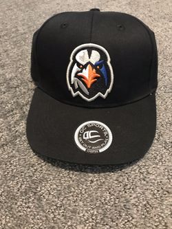 Iron Birds NEW snap back hat