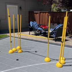 Sklz workout Equipment - Hurdles (low And High)