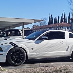 2006 Mustang 