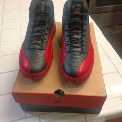 Air Jordan 12 Retro Size 11