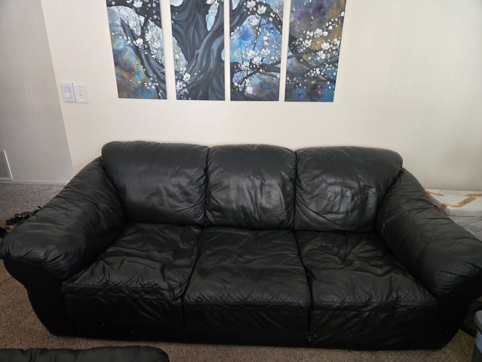 Leather Couch