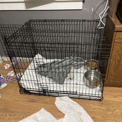 Two Dog Cages 