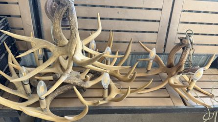 Set Antler Chandelier