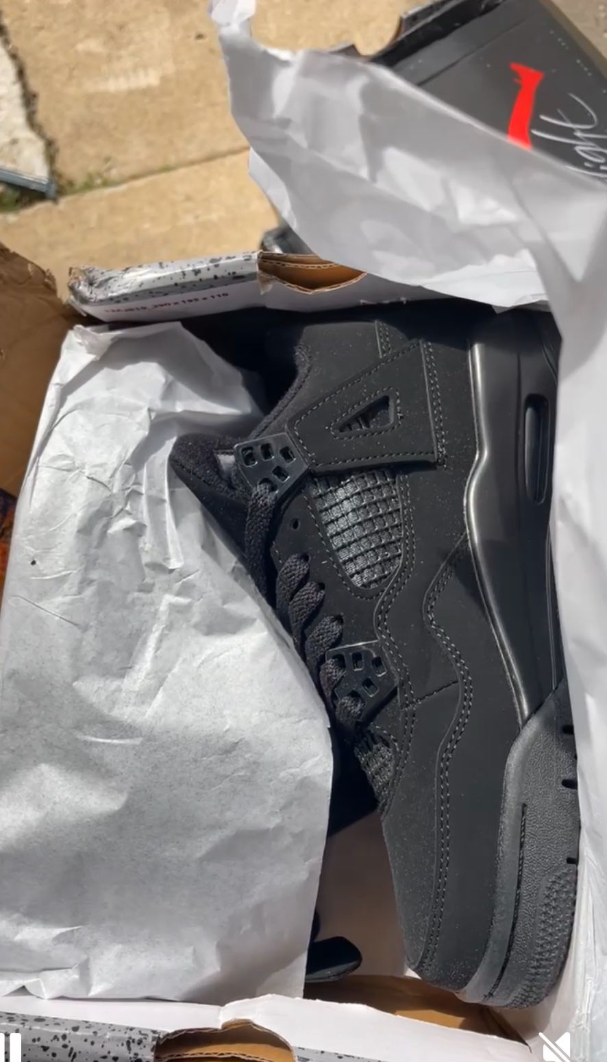 Jordan 4s Black Cats