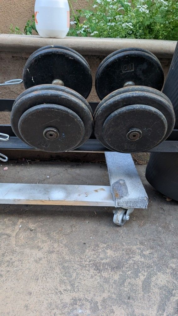 50lb Dumbbells