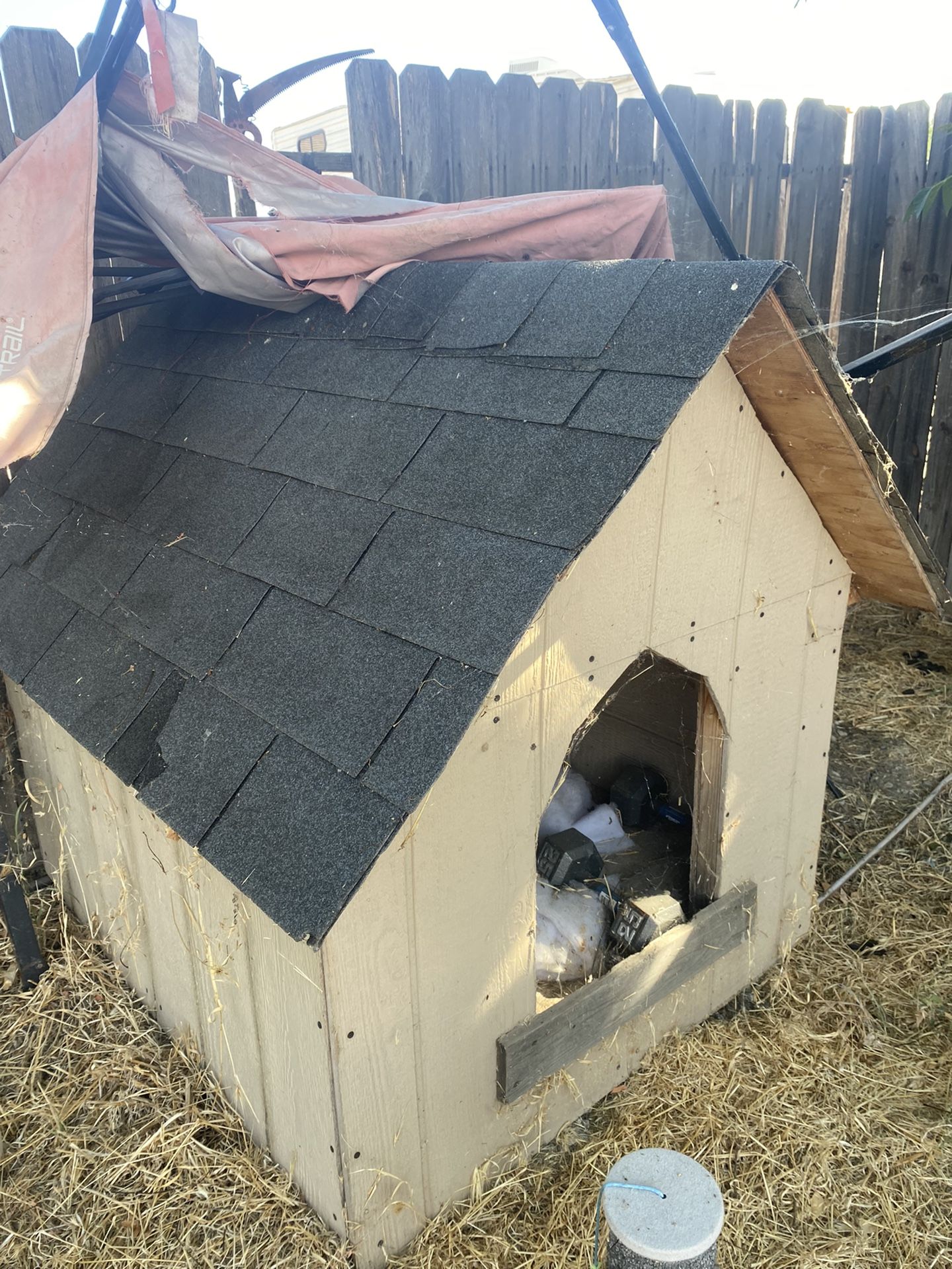 Dog House