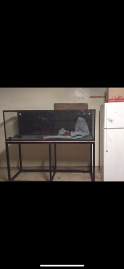180 Gallon Aquarium With Steel Stand