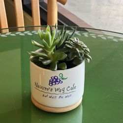 Custom Logo Made Pots And Arrangements 