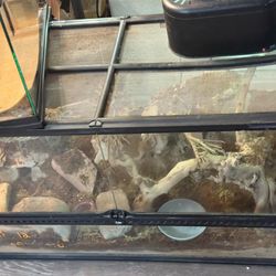 40 Gallon Reptile Tank 