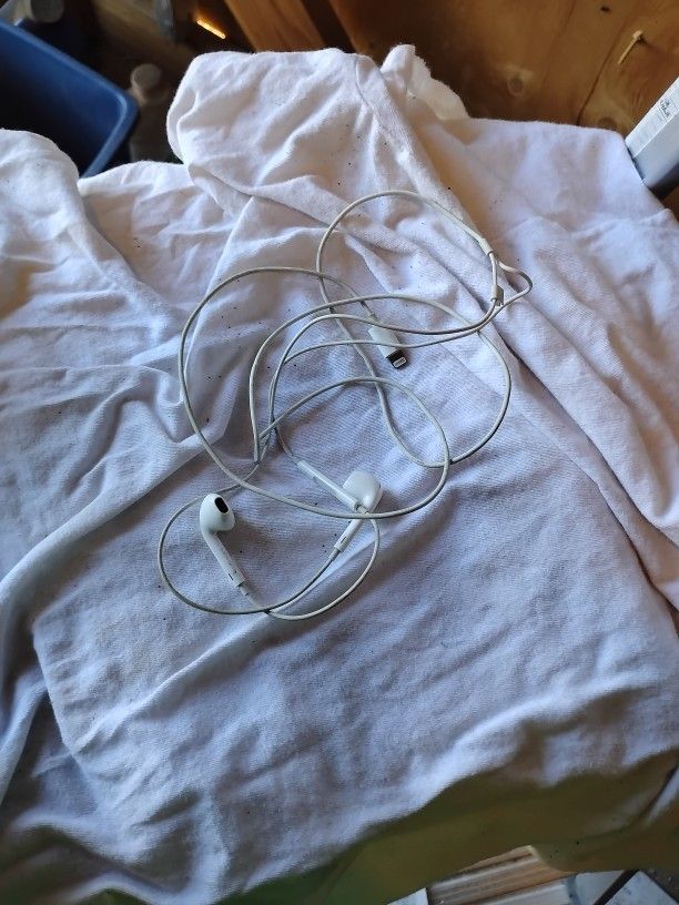 Apple Earbuds