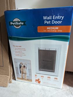 Wall entry pet door