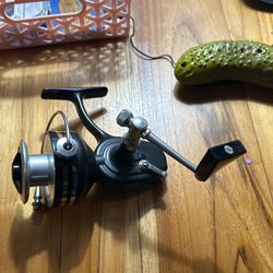 Pennn Reels Vintage Reel 150 Bucks Steal 