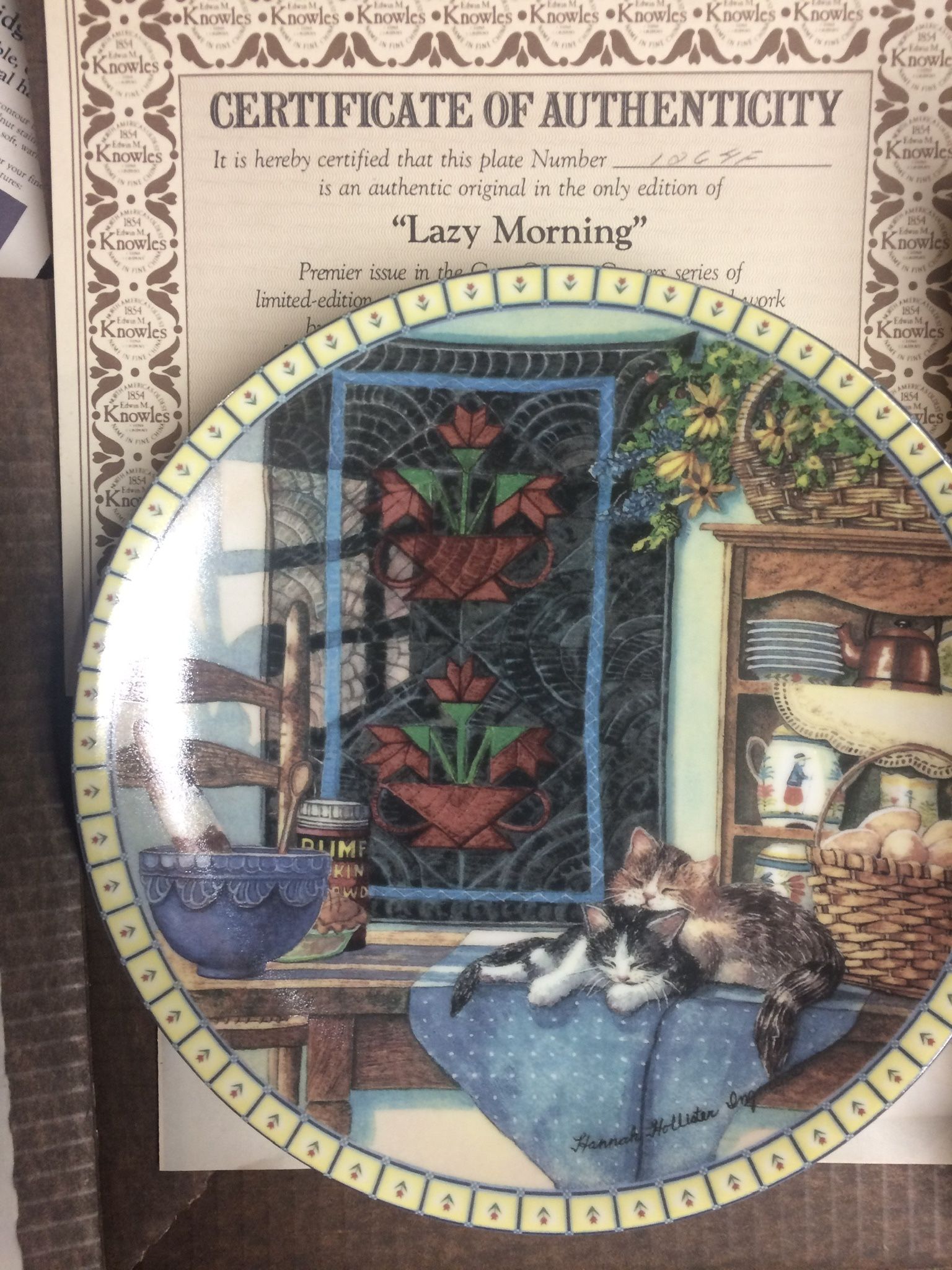 Collectible Dishes Whole Box Full