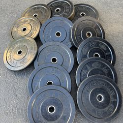 Rogue Bumper Weights 