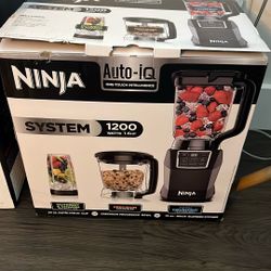 Nina Blender