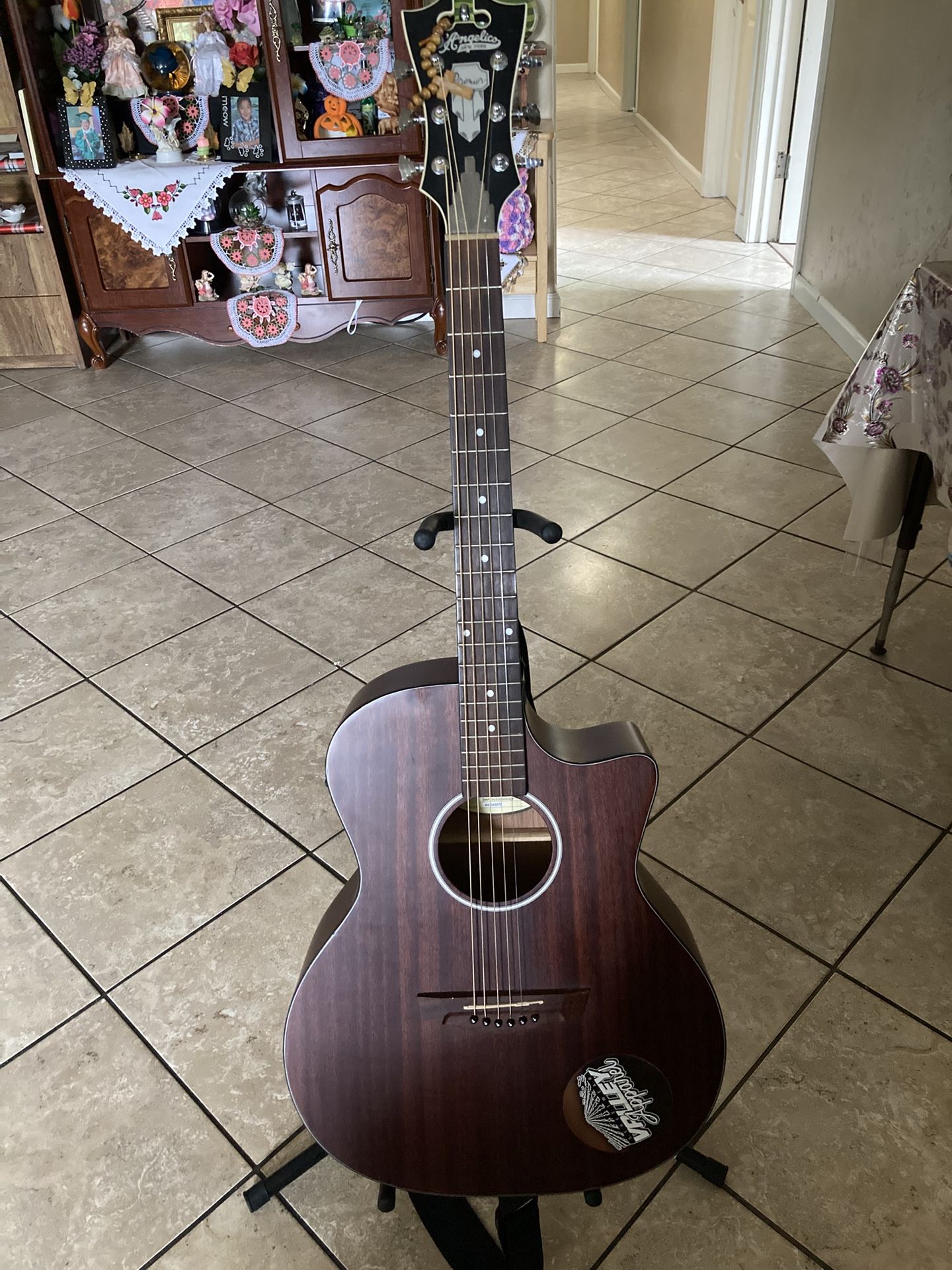 DAngelico Guitar