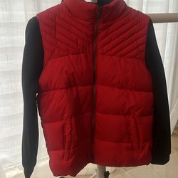 Hooded Jacket- Perry Ellis- for Kids (14/16)