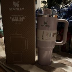 Shiny Purple Stanley